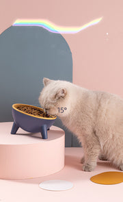 Pet Feeding Bowl