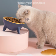 Pet Feeding Bowl