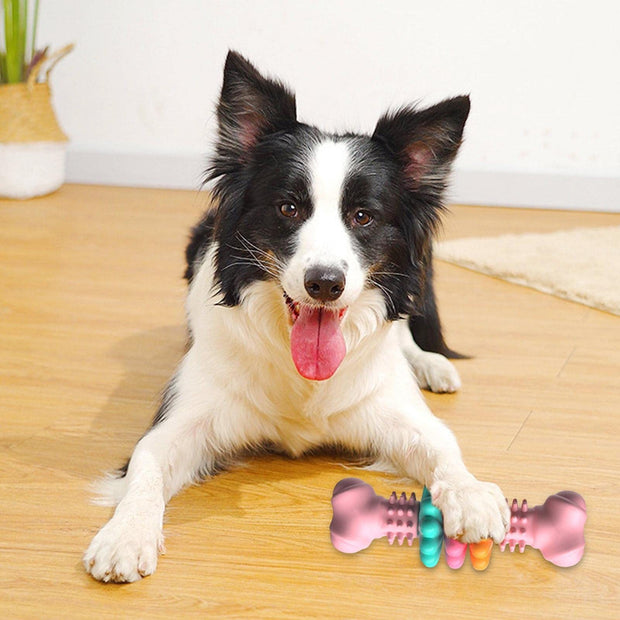 Chewable Pet Bone Toy