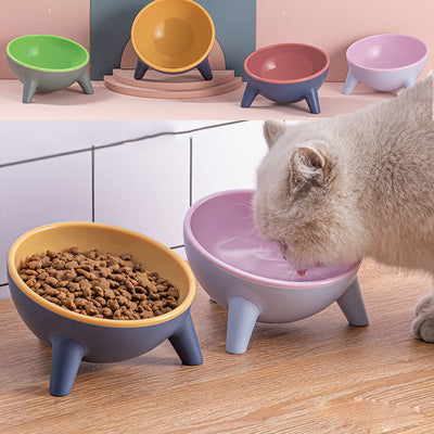 Pet Feeding Bowl