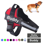 Breathable Adjustable Personalized Dog Harness