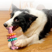 Chewable Pet Bone Toy